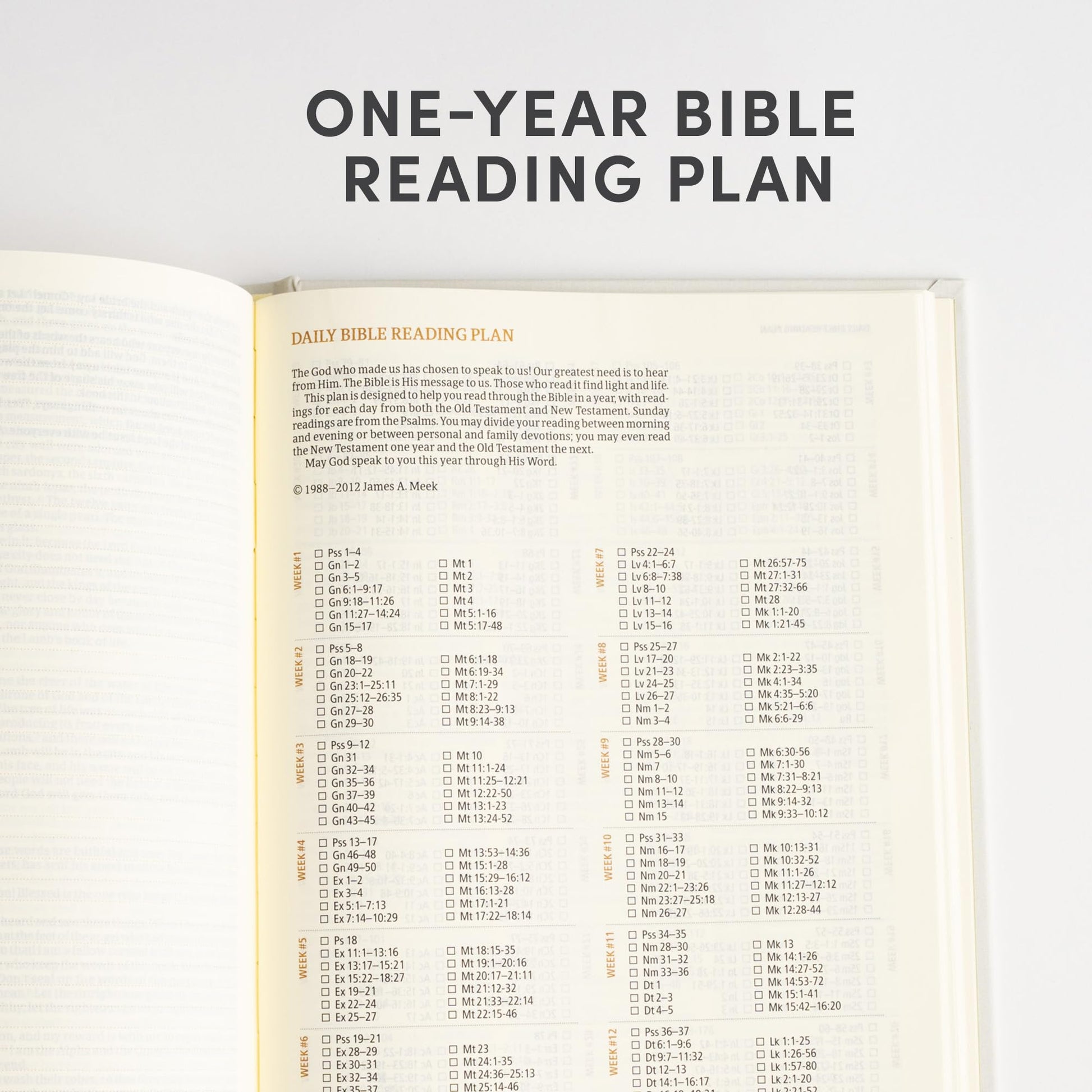 CSB Notetaking Bible for Women, Hosanna Revival Edition, Lemons Cloth Over Board, Black Letter, Single-Column, Journaling Space, Reading Plan, Easy-to-Read Bible Serif Type
