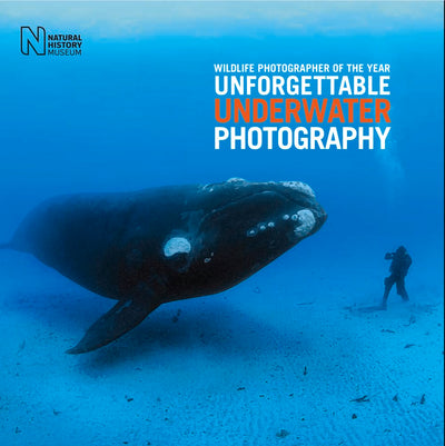 Wildlife Photographer of the Year: Unforgettable Underwater Photography