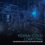 Federal Cloud Computing: The Definitive Guide for Cloud Service Providers