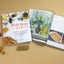 Master Recipes from the Herbal Apothecary: 375 Tinctures, Salves, Teas, Capsules, Oils, and Washes for Whole-Body Health and Wellness
