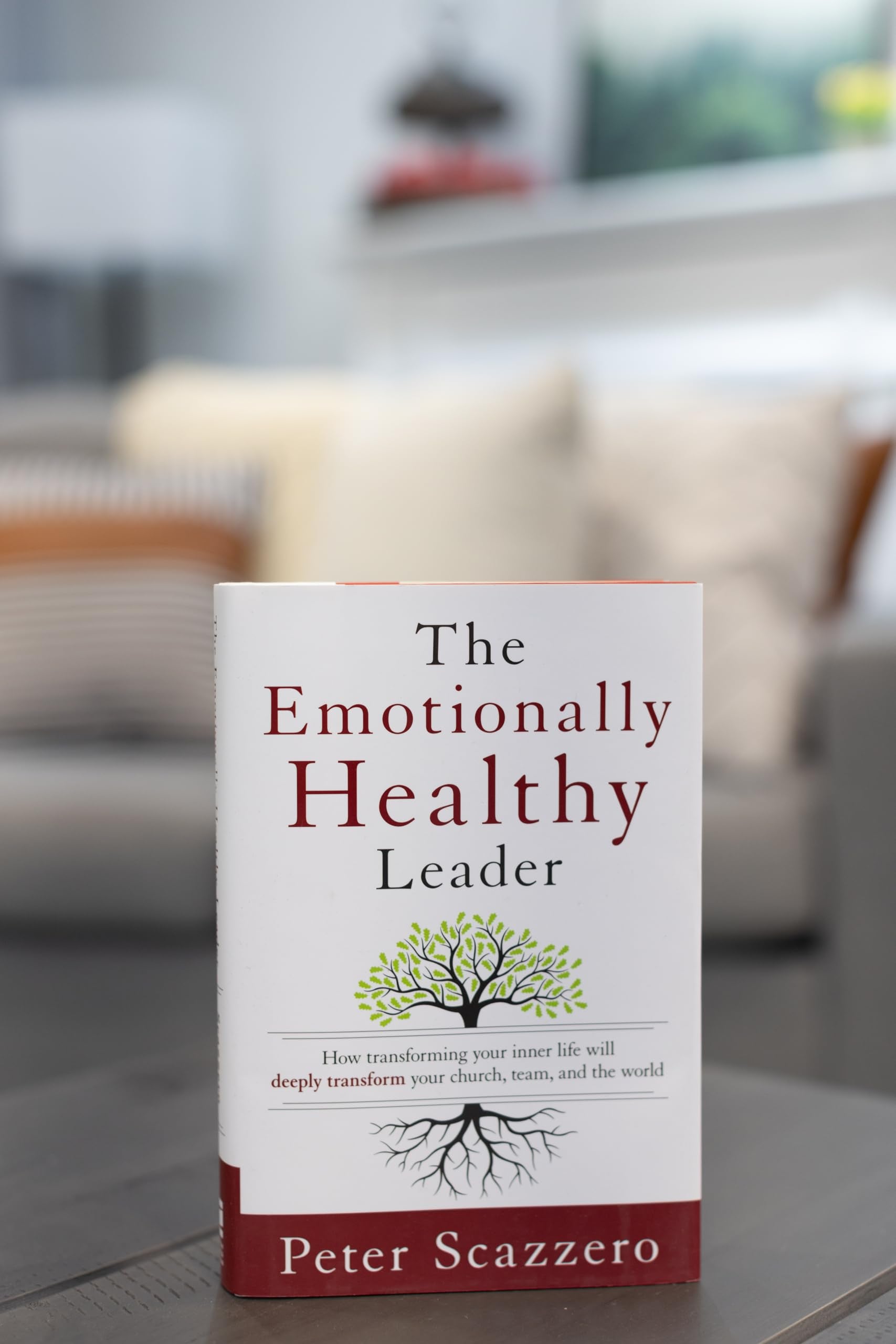 The Emotionally Healthy Leader: How Transforming Your Inner Life Will Deeply Transform Your Church, Team, and the World