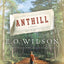 Anthill