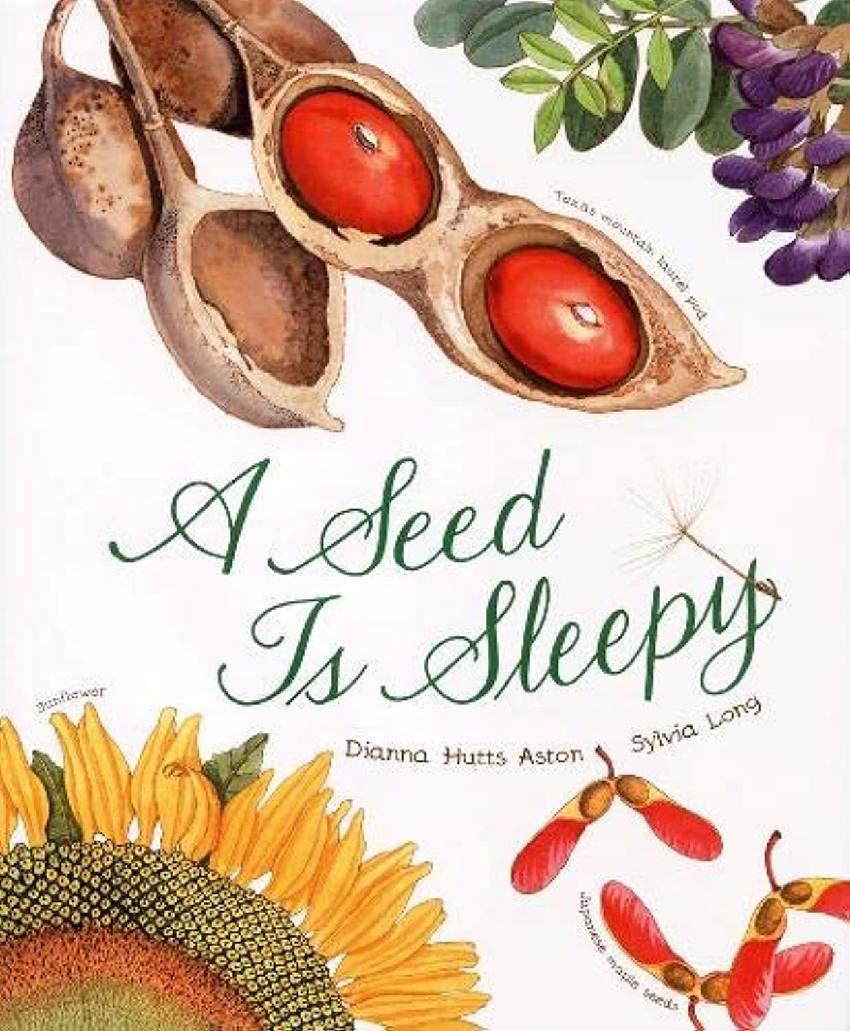 A Seed Is Sleepy (Sylvia Long) by Dianna Aston – Hardcover