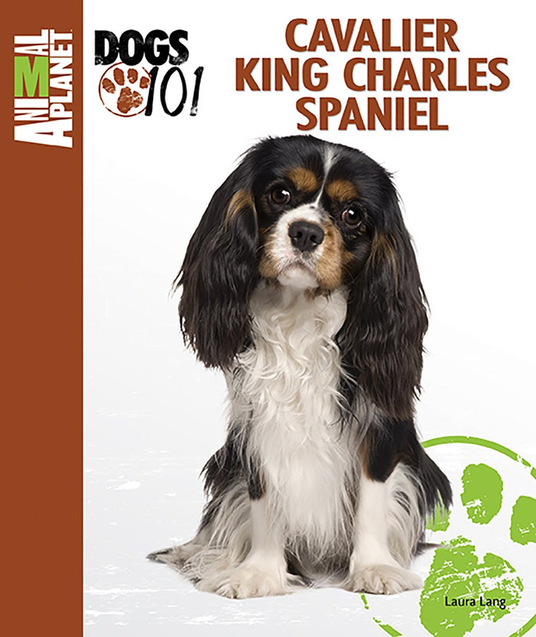Cavalier King Charles Spaniel (Animal Planet Dogs 101)