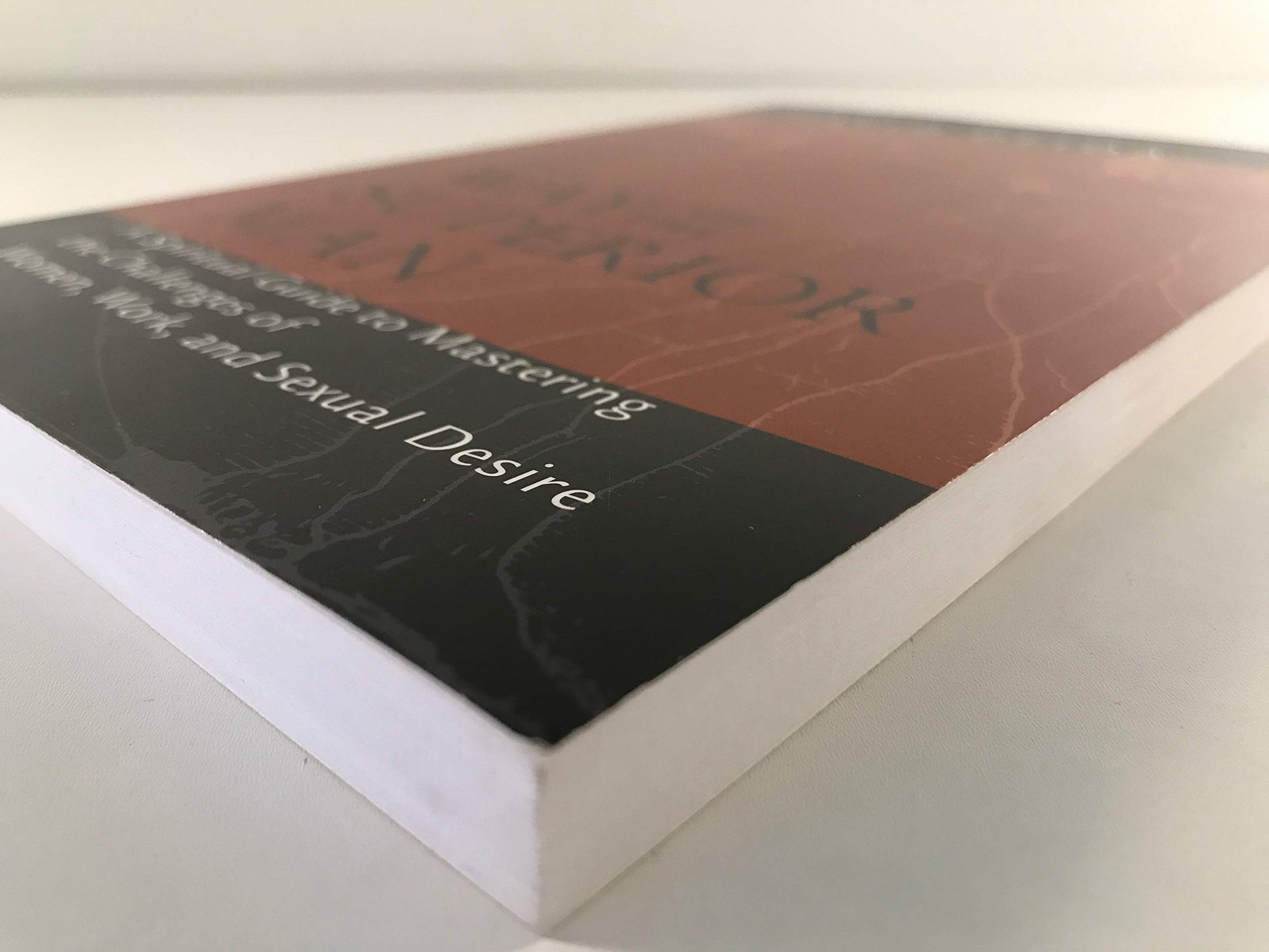 The Way of the Superior Man: A Spiritual Guide to Mastering the Challenges of Women, Work, and Sexual Desire