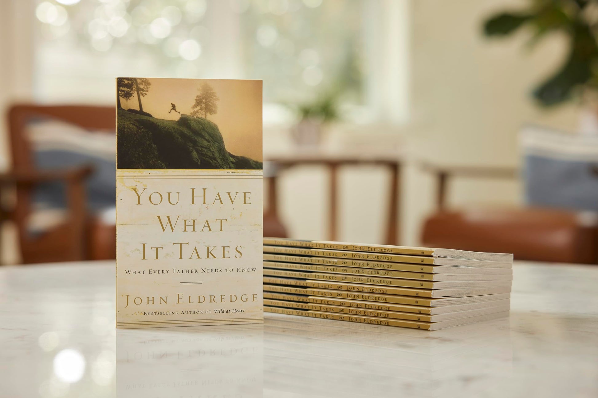 You Have What It Takes: What Every Father Needs to Know - The Perfect Fathers Day Gift for Christian Dads
