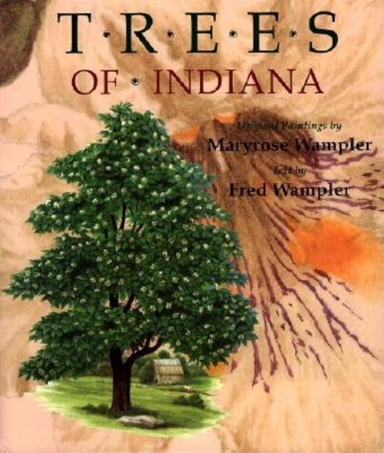 Trees of Indiana: Original Paintings by Maryrose Wampler