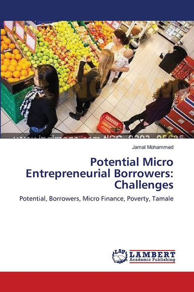 Potential Micro Entrepreneurial Borrowers: Challenges: Potential, Borrowers, Micro Finance, Poverty, Tamale