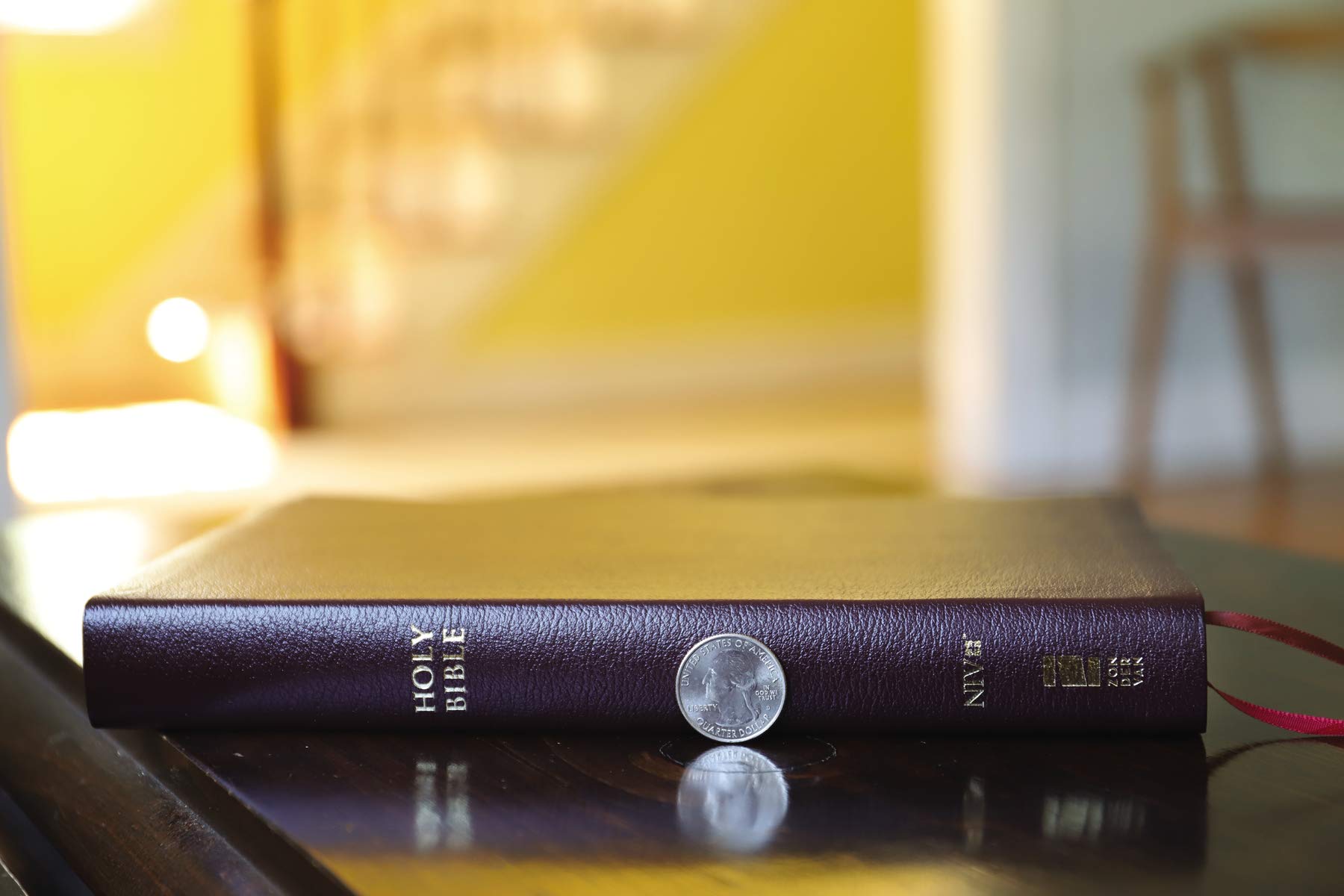 NIV, Thinline Reference Bible (Deep Study at a Portable Size), Large Print, Bonded Leather, Burgundy, Red Letter, Comfort Print