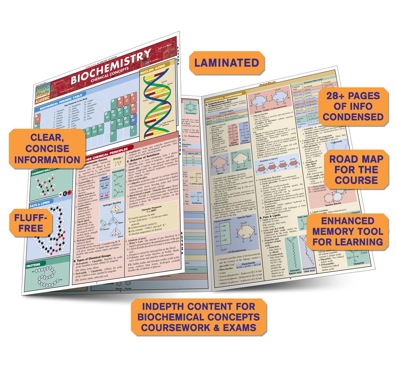 Biochemistry QuickStudy Laminated Reference Guide (QuickStudy Academic)