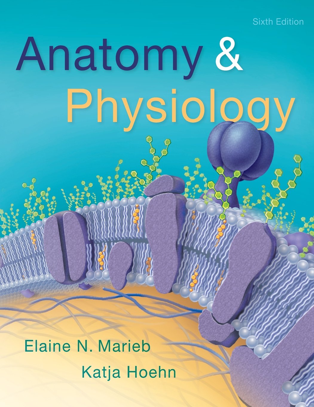 Anatomy & Physiology (6th Edition) by Elaine N. Marieb