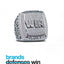 Brands Win Championships