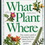 What Plant Where by Lancaster, Roy