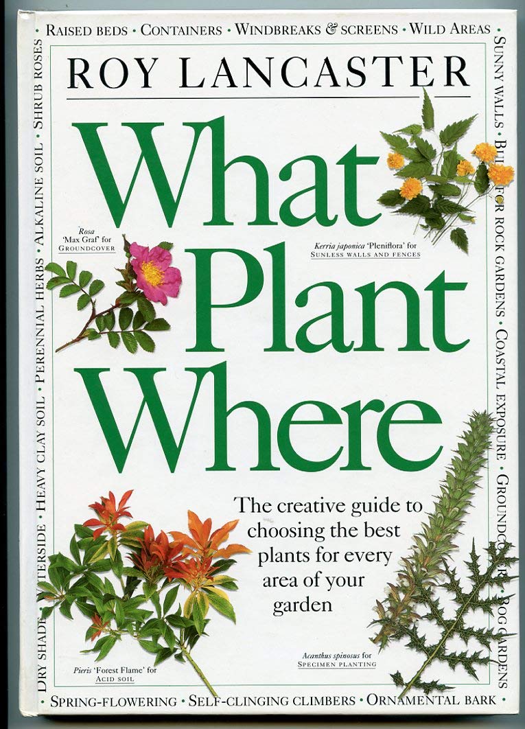 What Plant Where by Lancaster, Roy