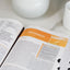 NVI, Biblia de Estudio actualizada, Revisin 2022, Leathersoft, Caf, Letra grande, Interior a color, Palabras de Jess en Rojo, con ndice, Comfort Print (Spanish Edition)