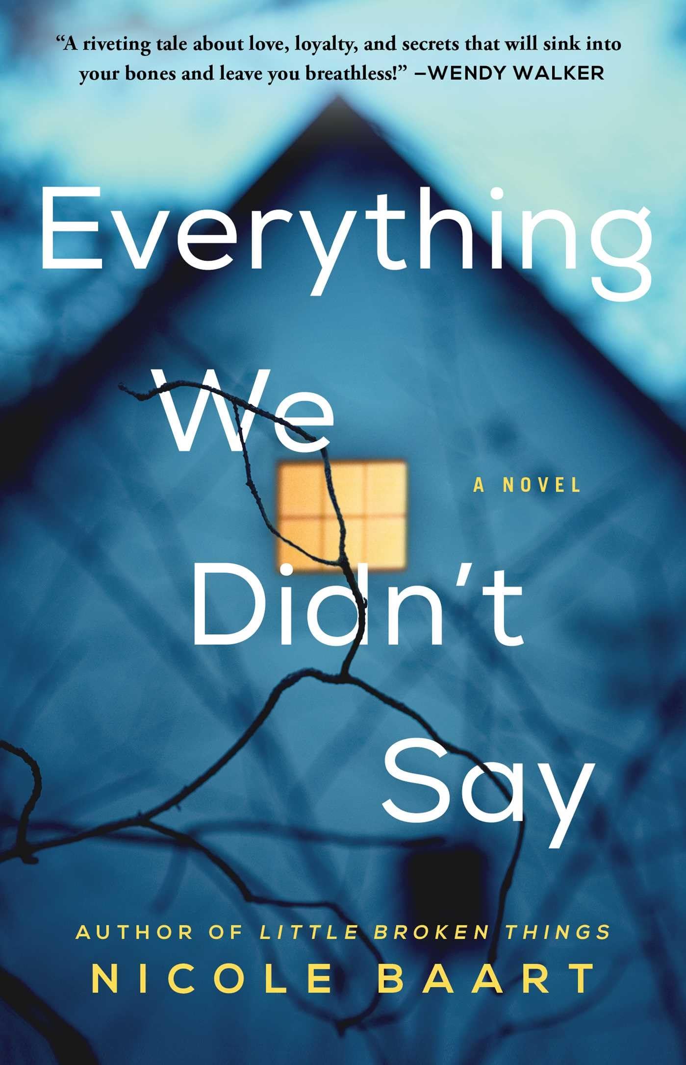 Everything We Didnt Say: A Novel
