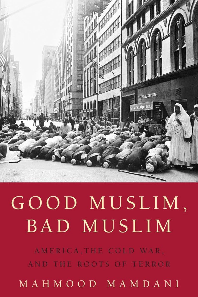 Good Muslim, Bad Muslim: America, the Cold War, and Root