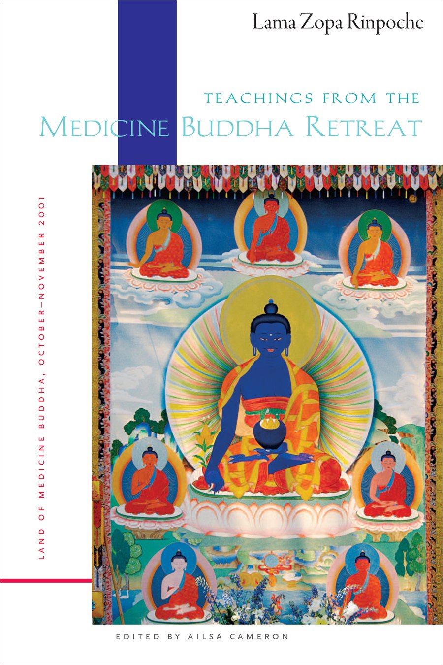 Teachings From the Medicine Buddha Retreat: Land of Medicine