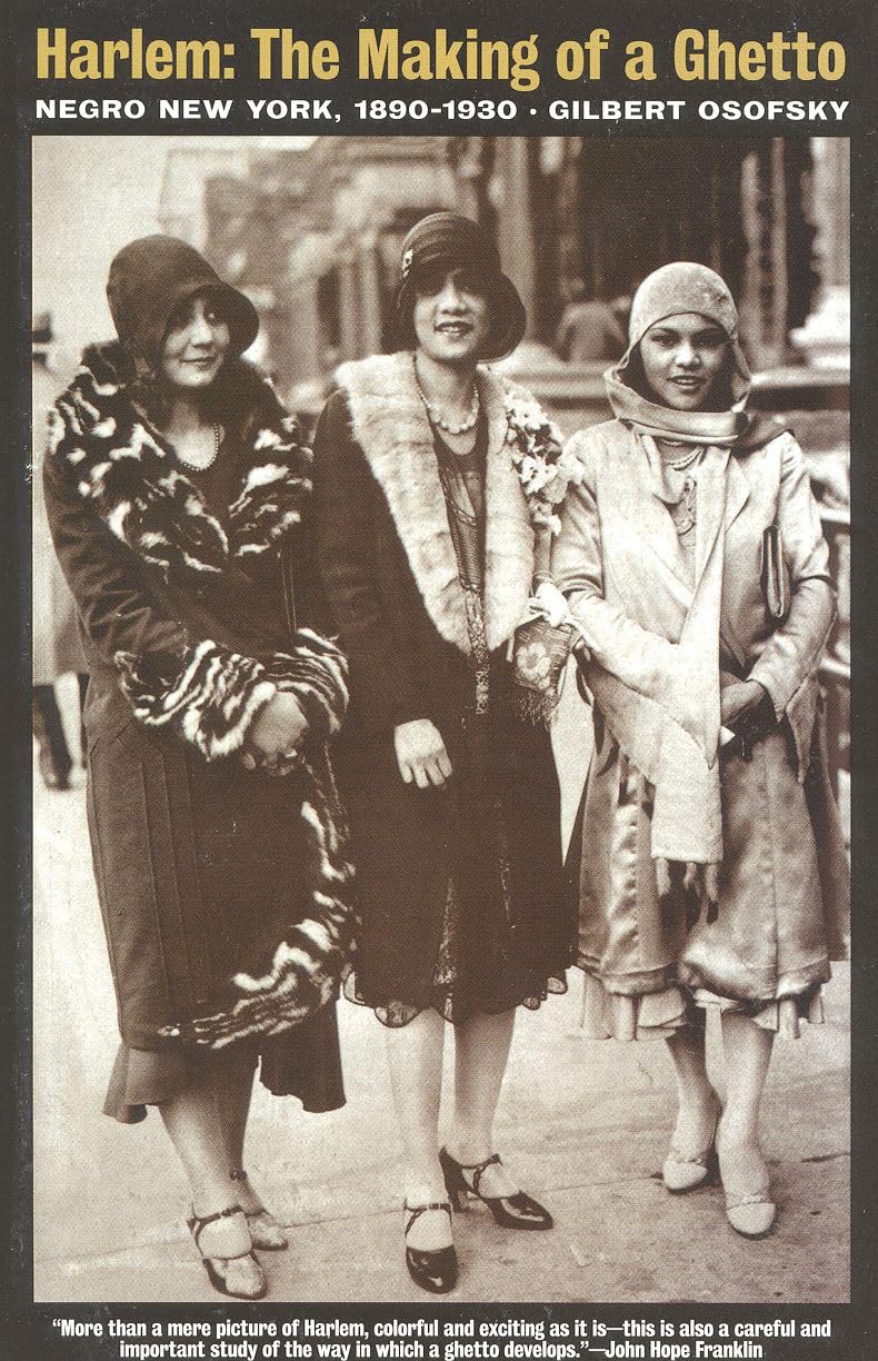 Harlem: The Making of a Ghetto : Negro New York, 1890-1930