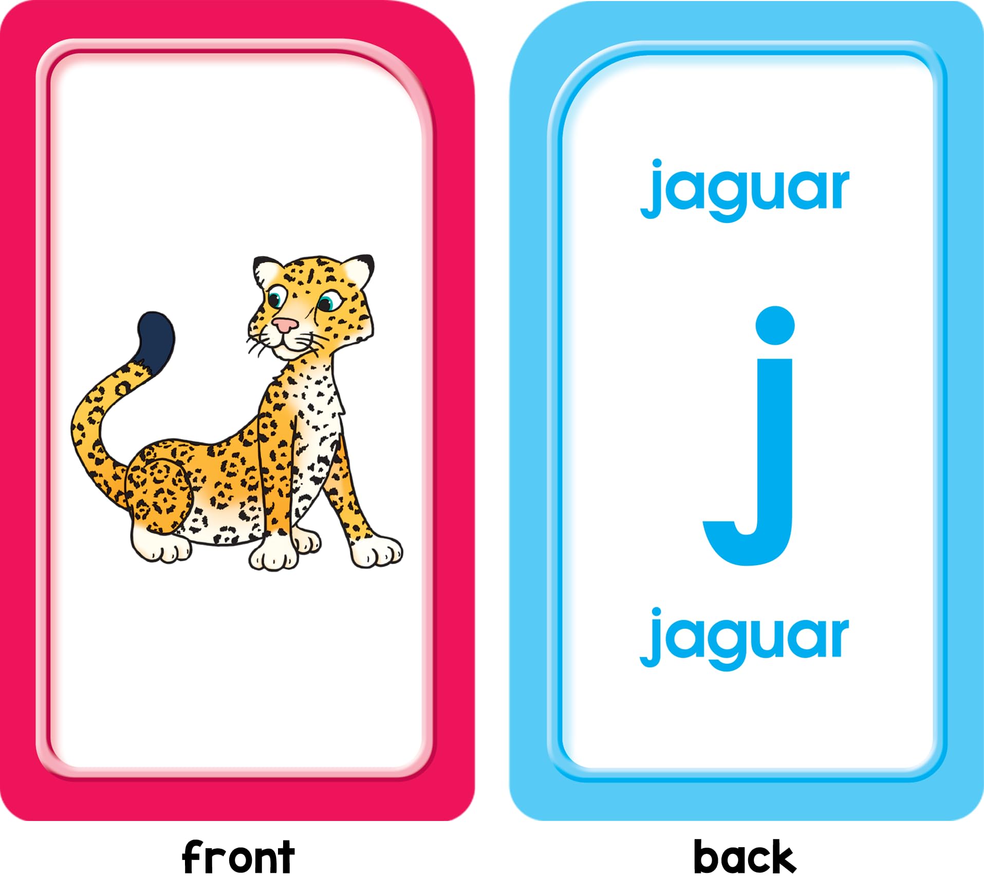 School Zone Spanish Alphabet Flash Cards: 56 Cards, Preschool, Kindergarten, Abecedario Tarjetas Ilustrativas, ABC's, Alphabetical Order, Bilingual, ESL, Language Immersion (Spanish/English Edition)