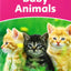 Dolphin Readers: Starter Level: 175-Word VocabularyBaby Animals