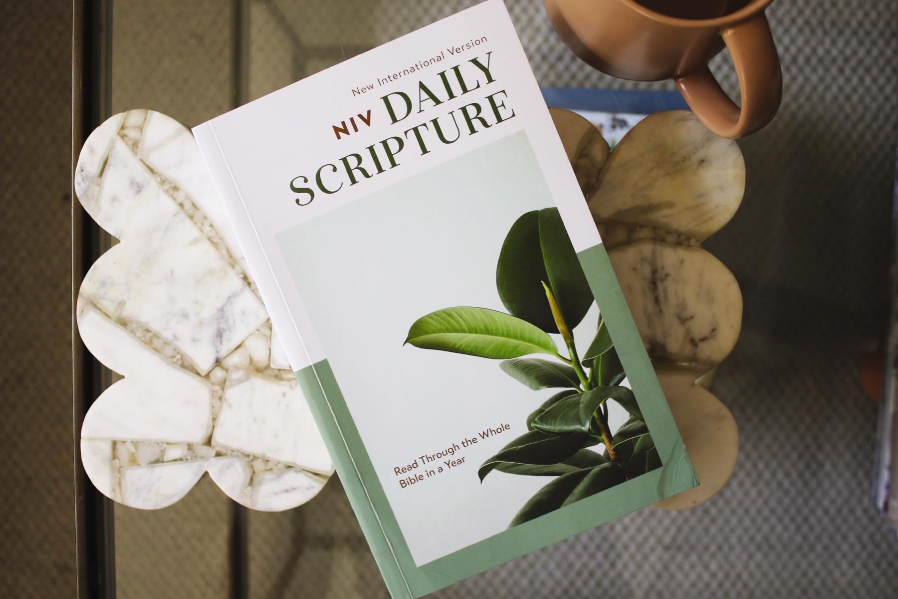 NIV, Daily Scripture, Paperback, White/Sage, Comfort Print: 365 Days to Read Through the Whole Bible in a Year