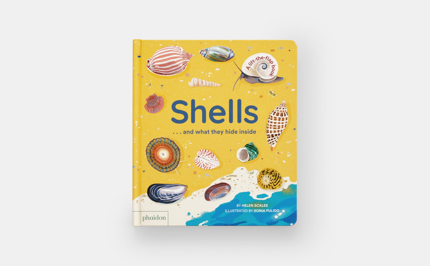Shells... and what they hide inside: A Lift-the-Flap Adventure
