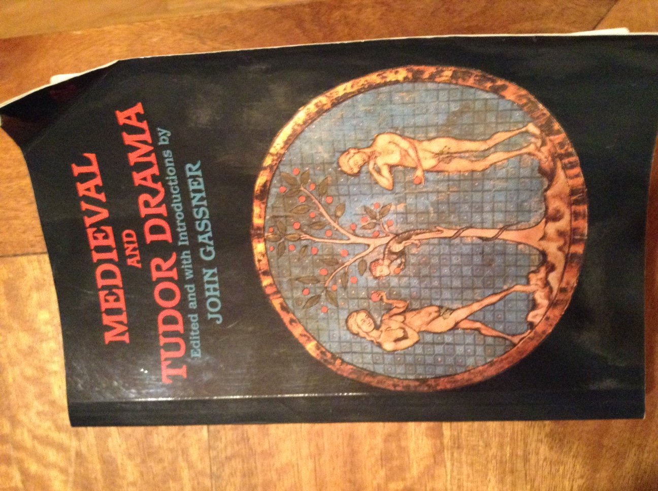 Medieval and Tudor Drama: Twenty-Four Plays (Applause Books)
