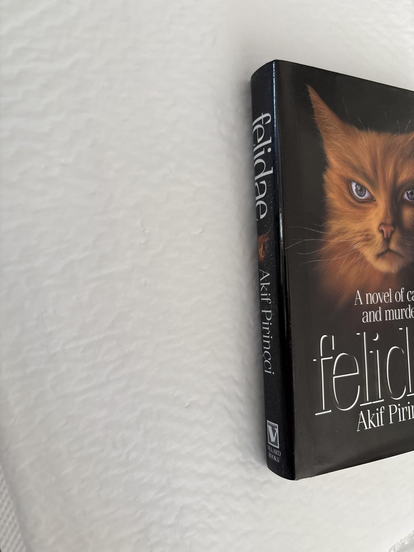 Felidae