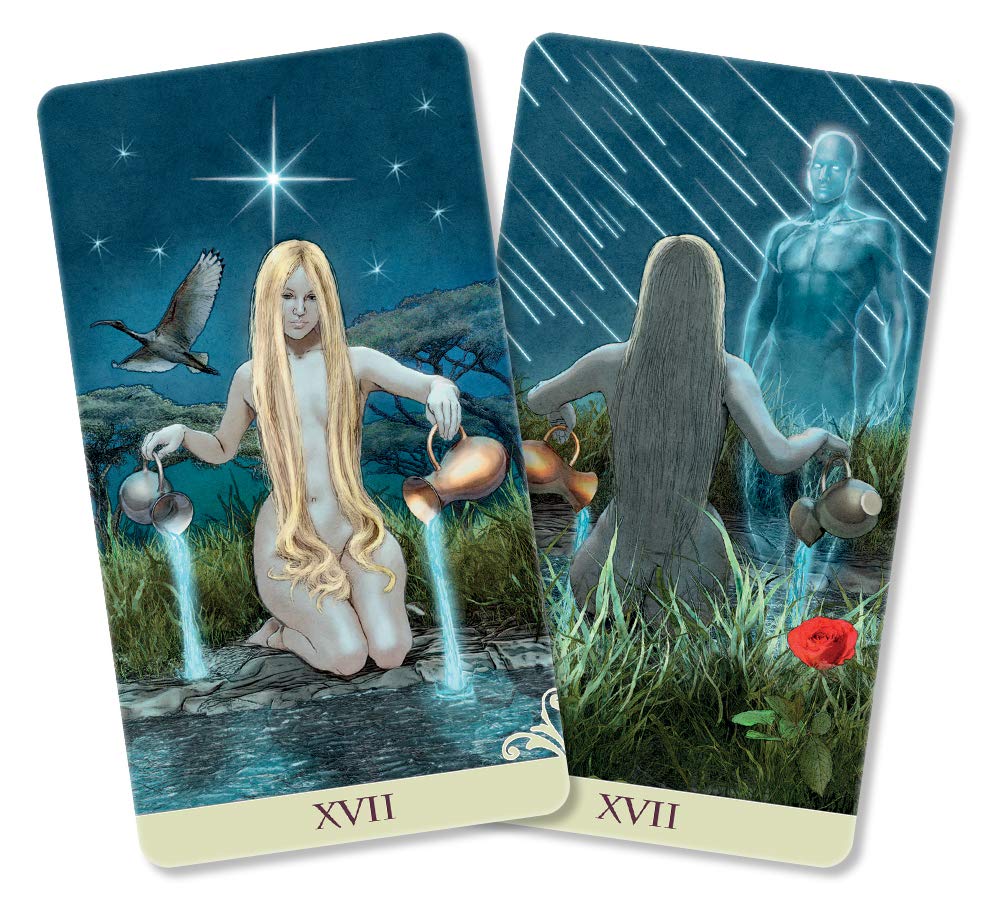 Vice Versa Tarot Deck (Vice Versa Tarot, 2)