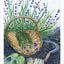 The Herbcrafter's Tarot