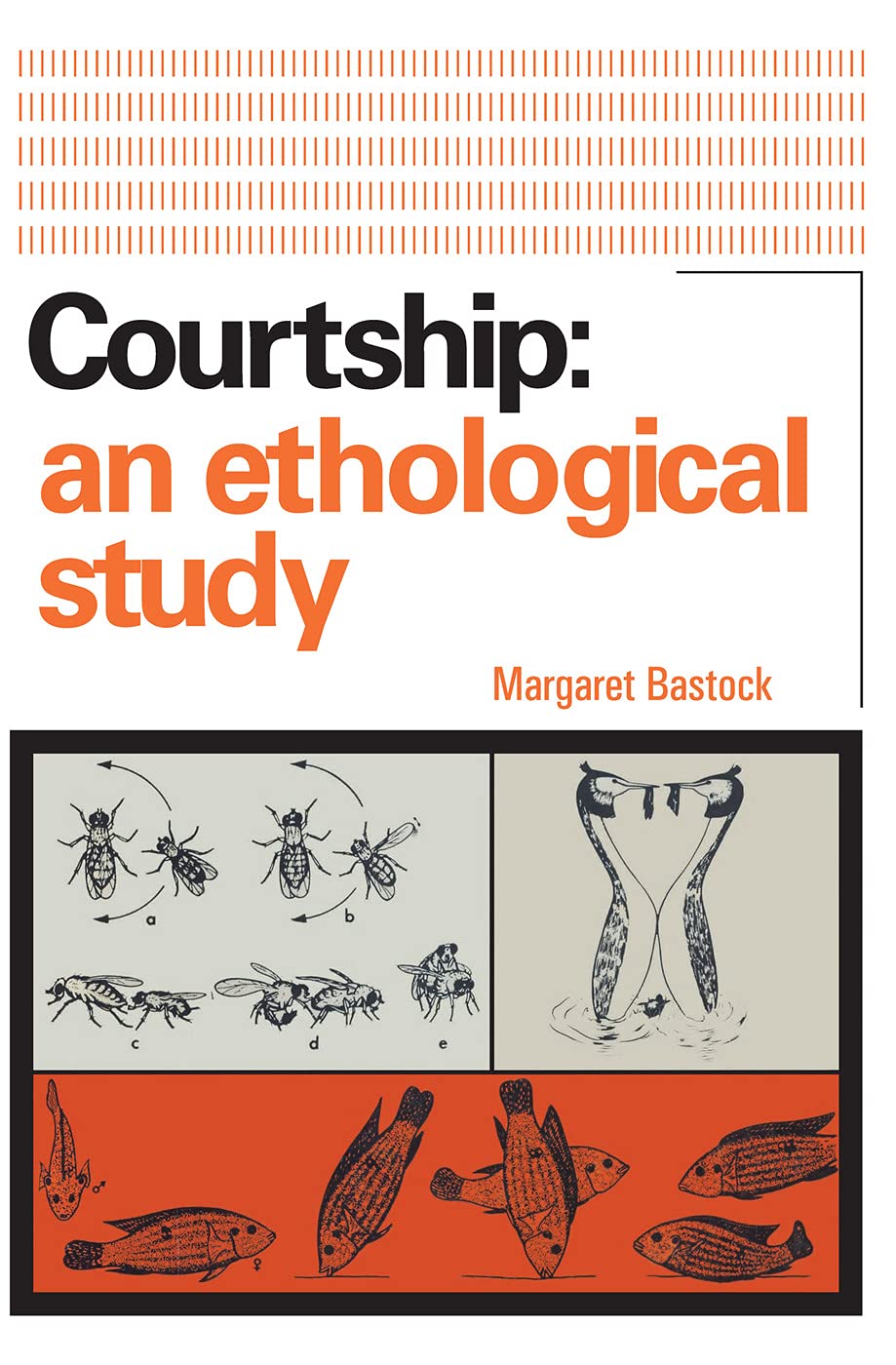 Courtship