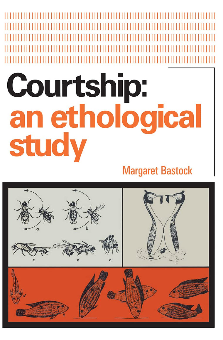 Courtship