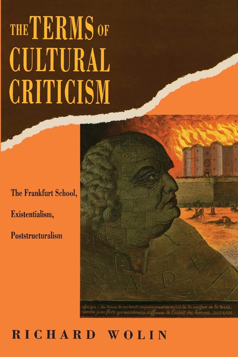 The Terms of Cultural Criticism