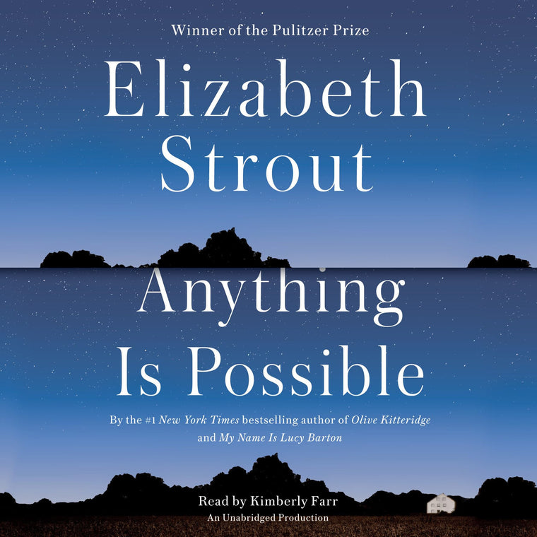 Anything Is Possible: A Novel