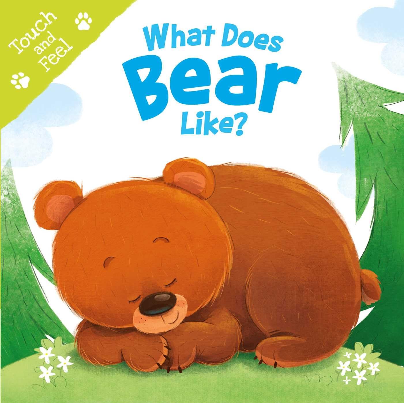 What Does Bear Like (Touch & Feel): Touch & Feel Board Book (Touch and Feel)