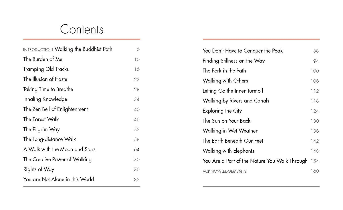 Mindful Thoughts for Walkers: Footnotes on the zen path