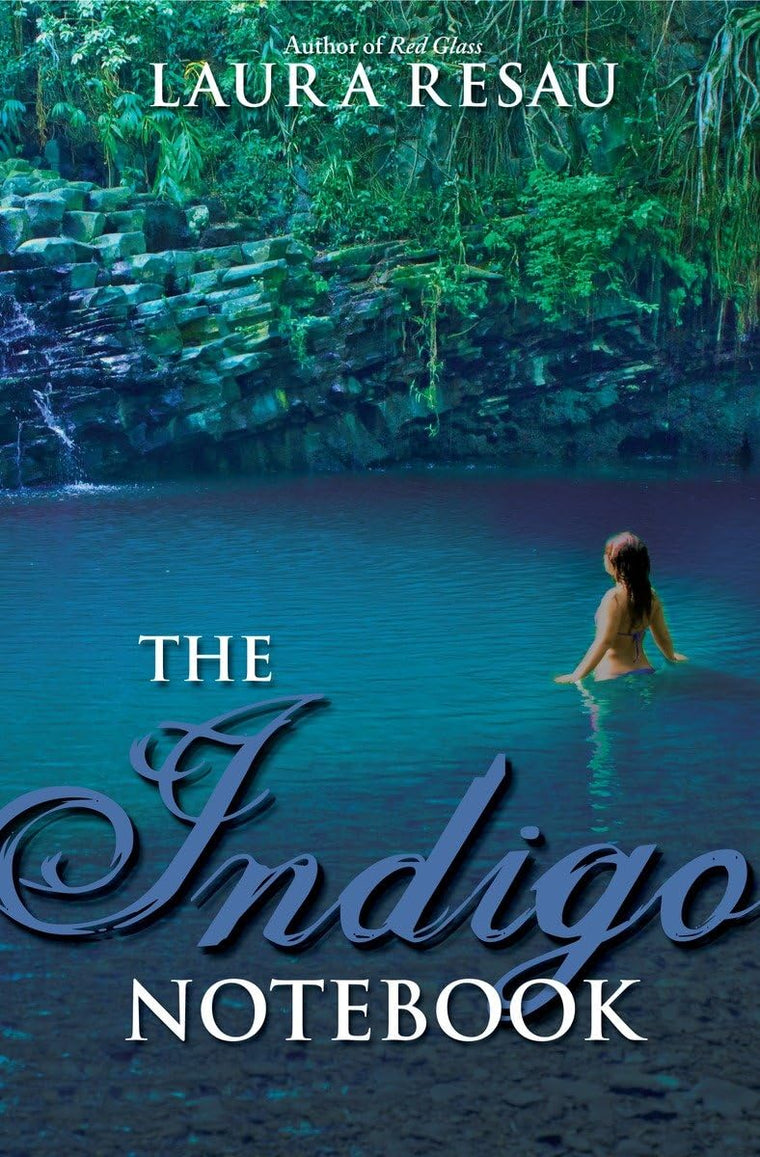 The Indigo Notebook (Notebook Series)