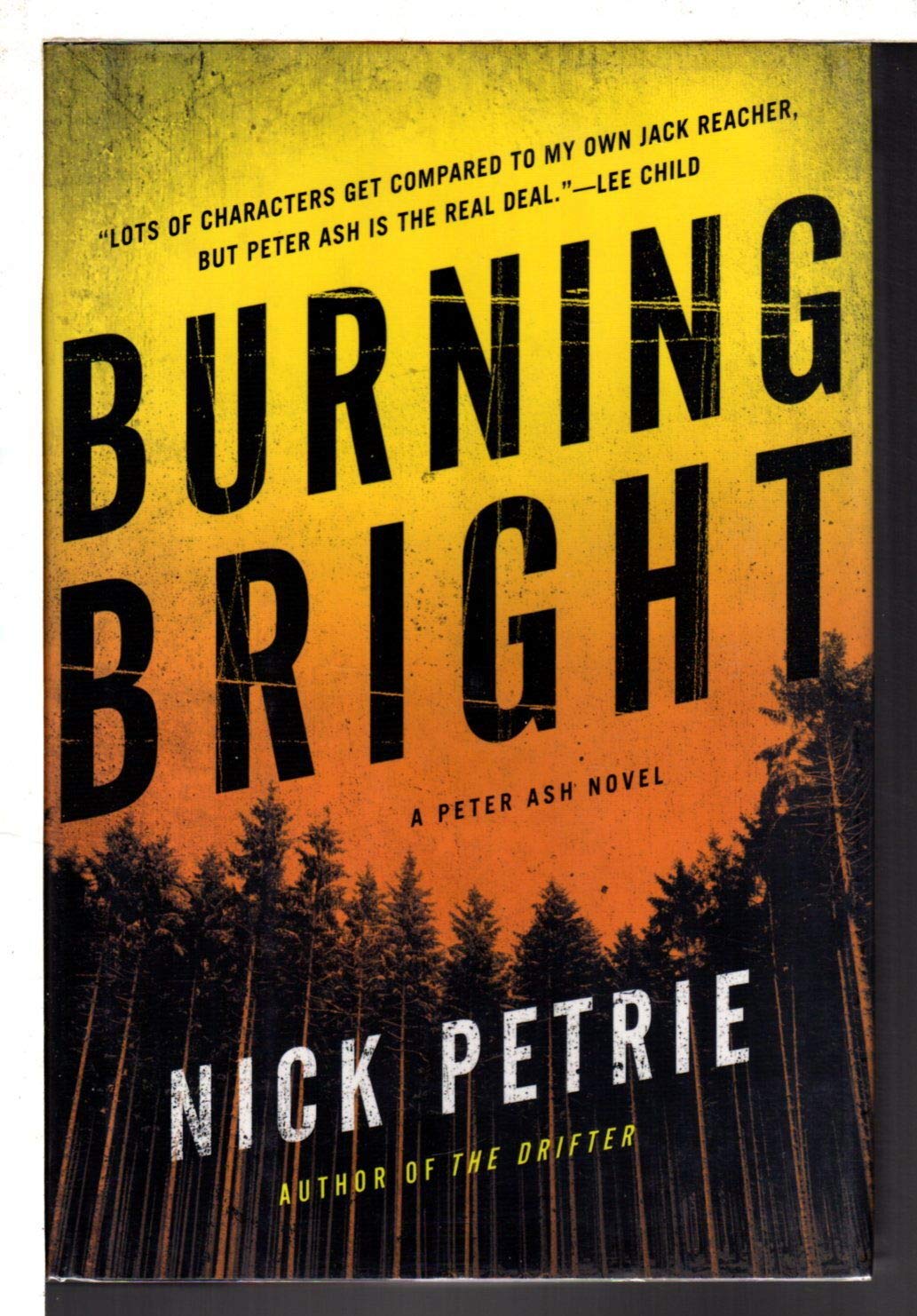 Burning Bright (A Peter Ash Novel)