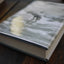 Hold Still: A Memoir with Photographs