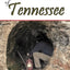 Lost Mines and Buried Treasures of Tennessee (Lost Mines and Buried Treasures series)