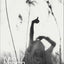 The Frolic of the Beasts (Penguin Modern Classics)