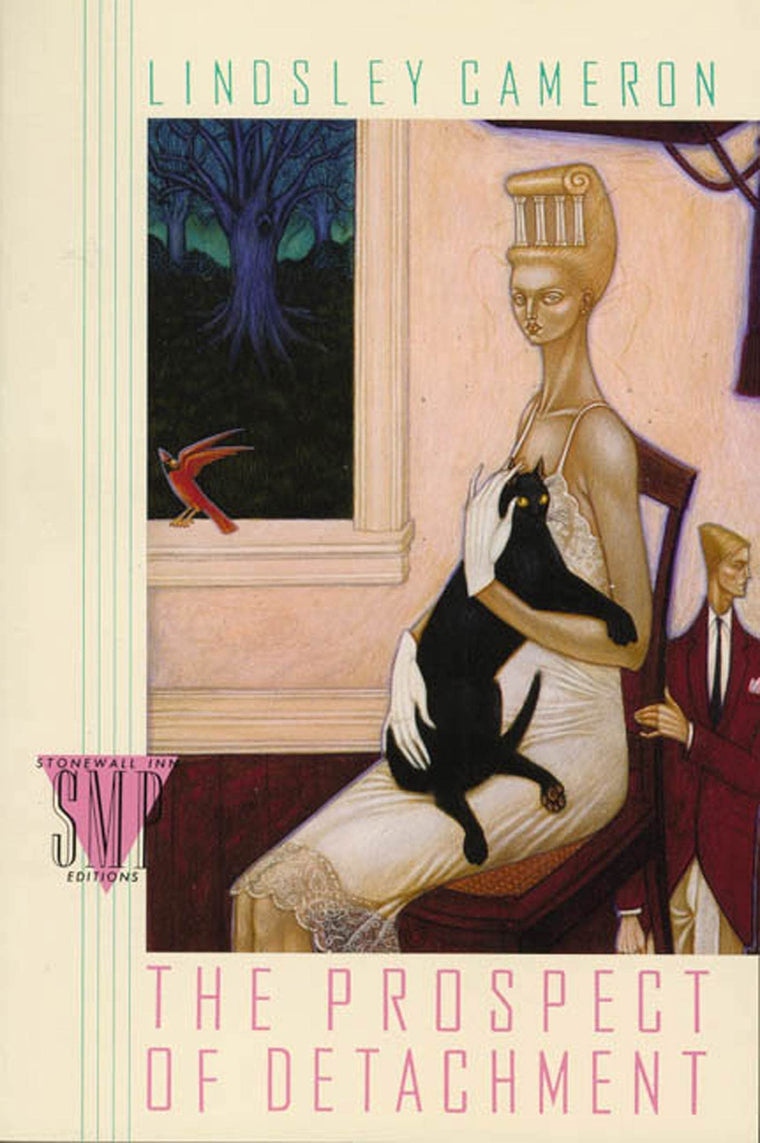 The Prospect of Detachment (Stonewall Inn Editions)