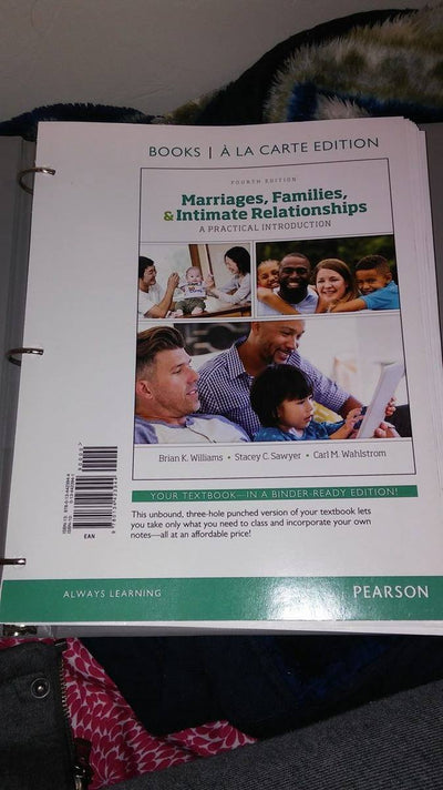 Marriages, Families, and Intimate Relationships (4th Edition)