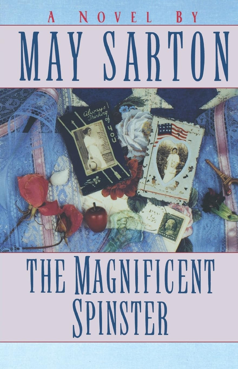 The Magnificent Spinster: A Novel