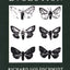 The Material Basis of Evolution: Reissued (The Silliman Memorial Lectures Series)