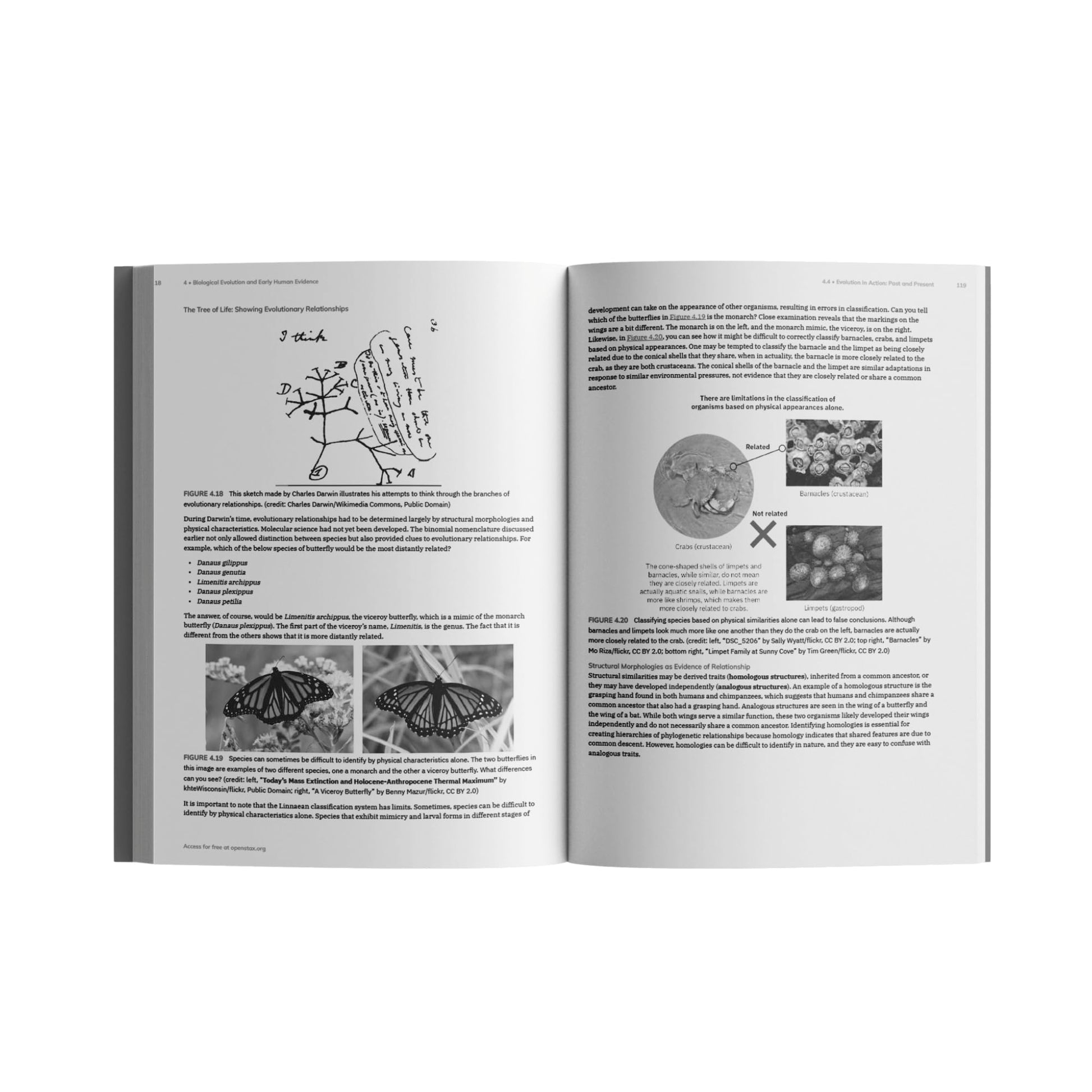 Introduction to Anthropology by OpenStax (Official Print Version, paperback version, B&W) (English and English Edition)