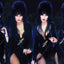 ELVIRA MISTRESS OF THE DARK PHOTO BIOGRAPHY HC