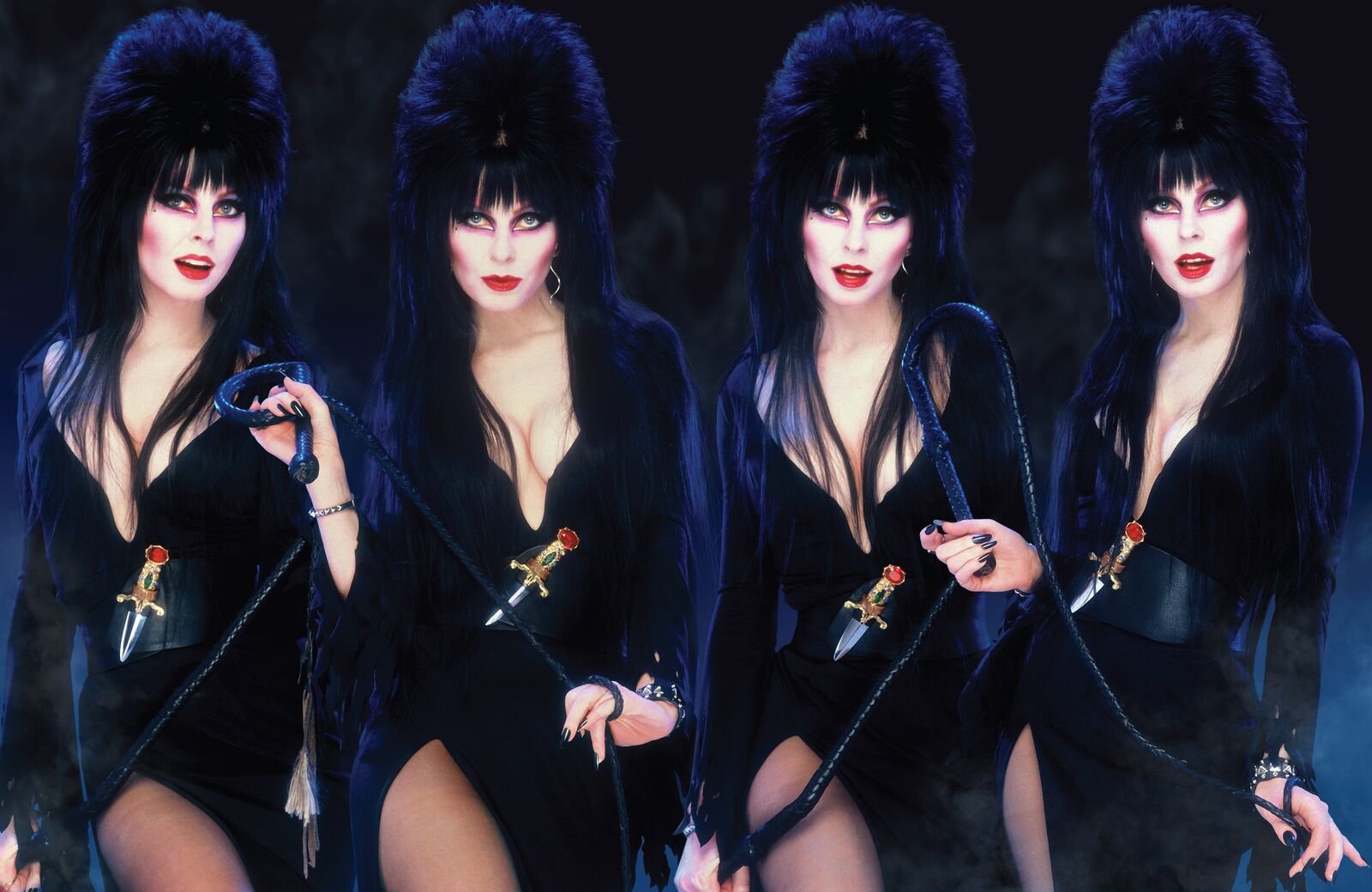 ELVIRA MISTRESS OF THE DARK PHOTO BIOGRAPHY HC