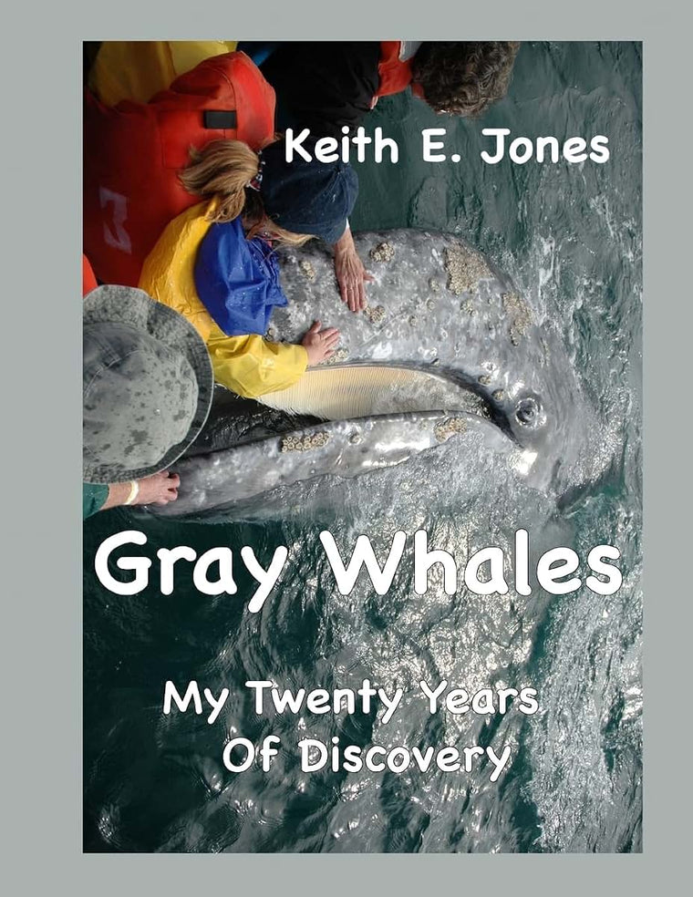 Gray Whales My Twenty Years Of Discovery